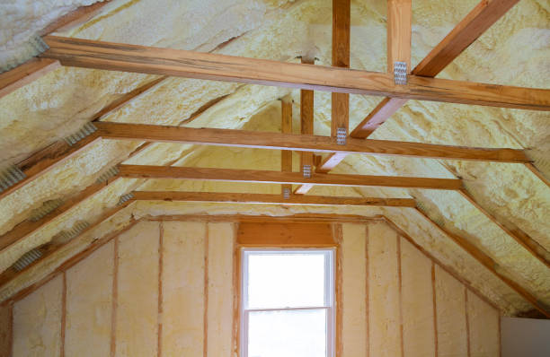 Best Geographic-Specific Insulation Services in Craig Beach, OH