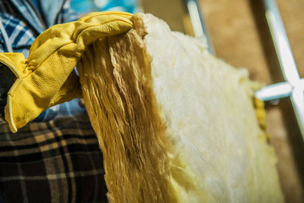 Best Commercial Insulation in Craig Beach, OH
