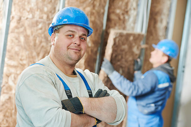 Best Eco-Friendly Insulation in Craig Beach, OH