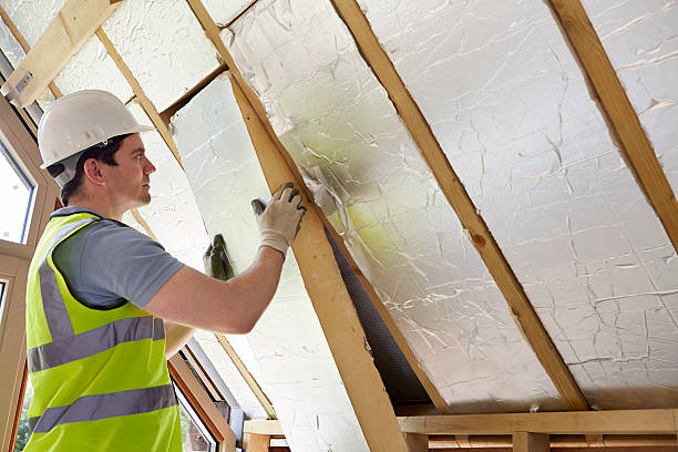 Best Insulation Maintenance and Repair in Craig Beach, OH
